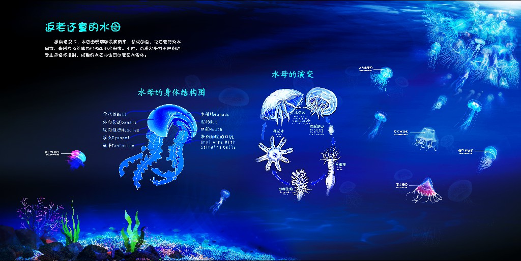 熒光畫科普設(shè)計