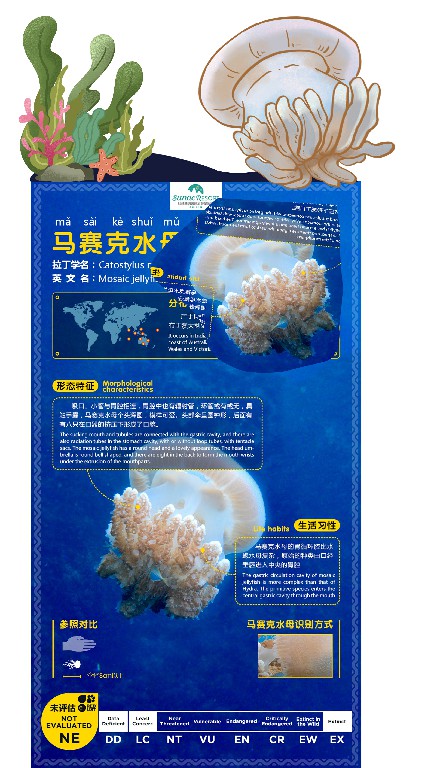 桂林融創(chuàng)-海洋科普（ 物種內(nèi)容設(shè)計）