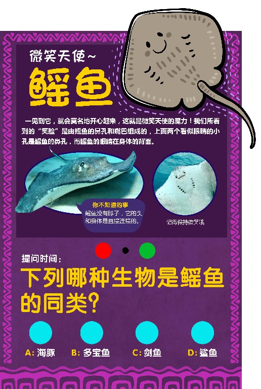桂林融創(chuàng)-海洋科普 (知識點設(shè)計)
