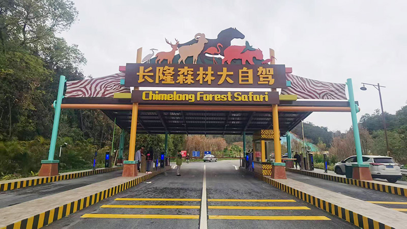 清遠長隆森林大自駕